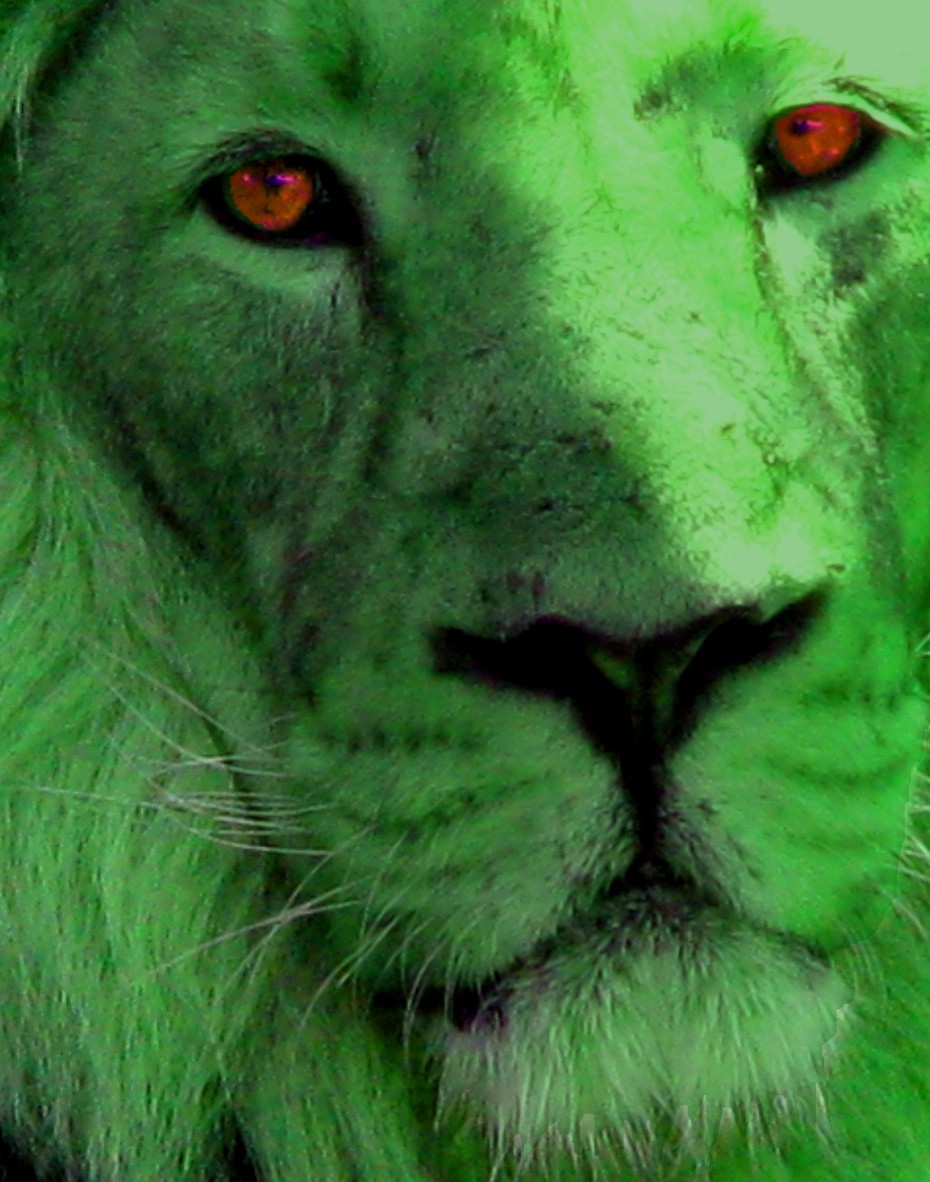 Lion Green