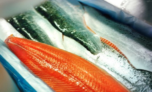 Norwegian Scientists Warn Against Eating Farmed Salmon Everything You Need to Know About Farmed Fish