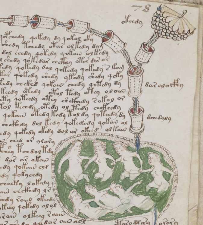 Voynich Manuscript Excerpt