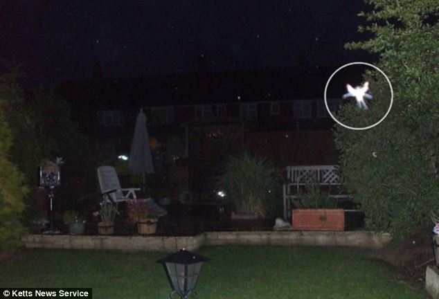 In 2009, Phyllis Bacon, 55, believed she took a photo of a fairy at the bottom of her garden in New Addington, near Croydon in South London