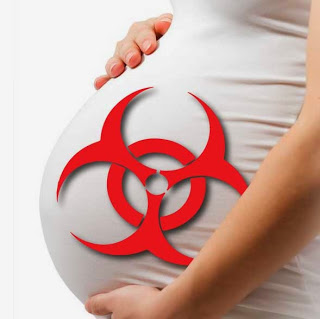 Monsanto's Darkest Secret: Roundup's Effect On The Fetus 6