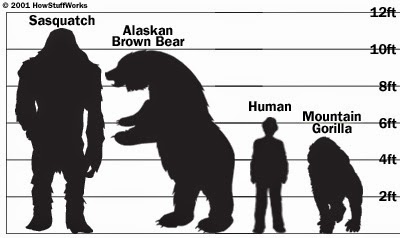 Alaska Sasquatch Encounters 25
