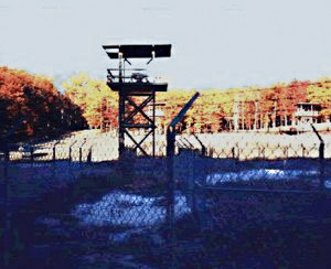 Will You Survive Being Sent To A FEMA Camp? 2