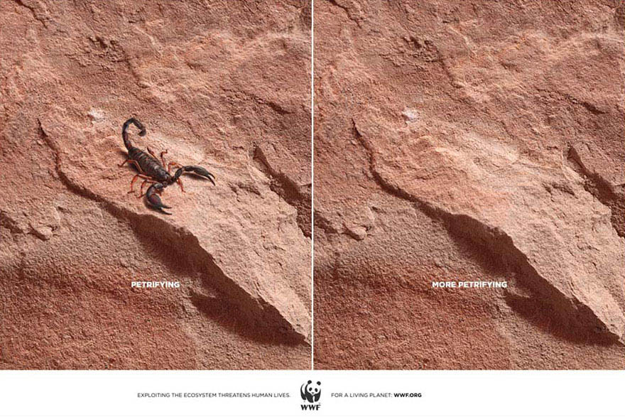 public-social-ads-animals-119