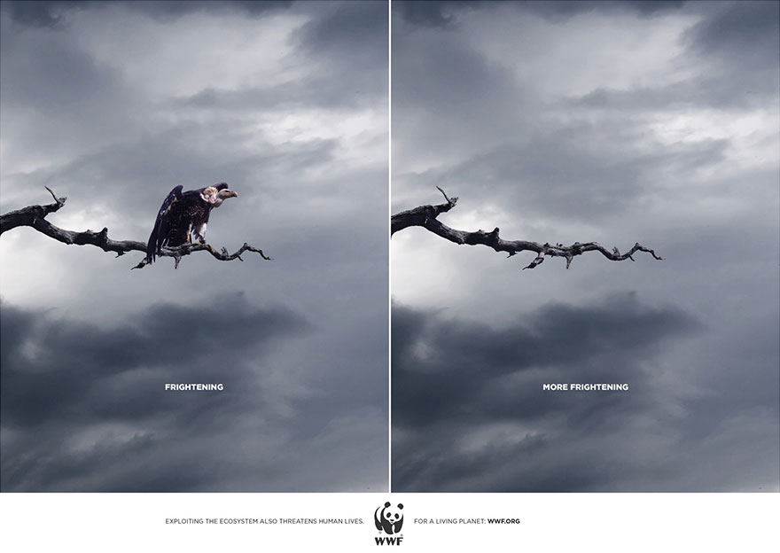 public-social-ads-animals-125