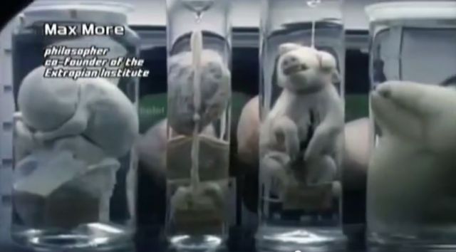 Horrifying Human Animal DNA Experiments – Transhumanism & Hybrids – Mind Blowing Video And Images 12