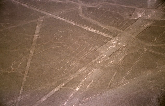 In general terms, the geoglyphs fall into two categories: the first group, of which about 70 have been identified, are said to represent natural objects, such as animals, birds and insects. Many of the images also appeared on pottery and textiles of the region. Other drawings represent flowers, plants, and trees