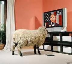 "We can make the sheep believe anything".