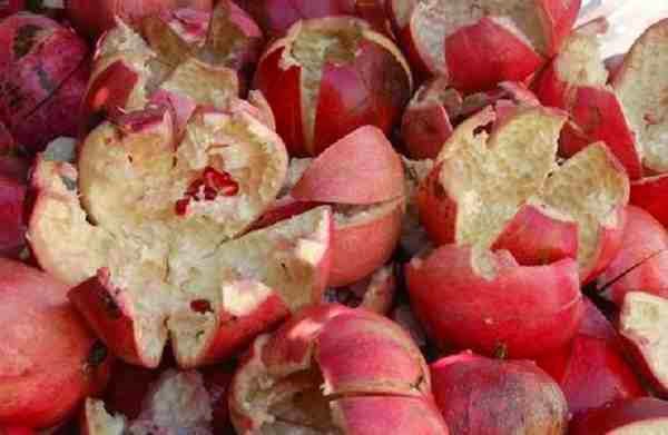 Pomegranate Peel For Treating Numerous Diseases 4
