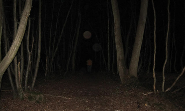 The World's 7 Most Haunted Forests Will Make You Never Try Camping Again 3