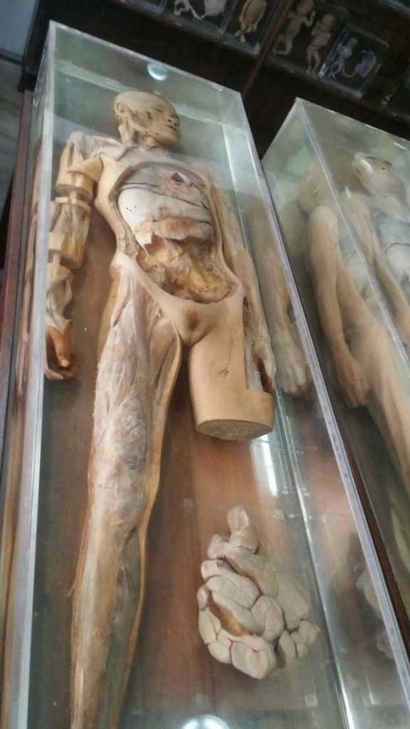 What's Hiding In This Innocent-Looking Museum In Thailand Is Seriously Freaky 29
