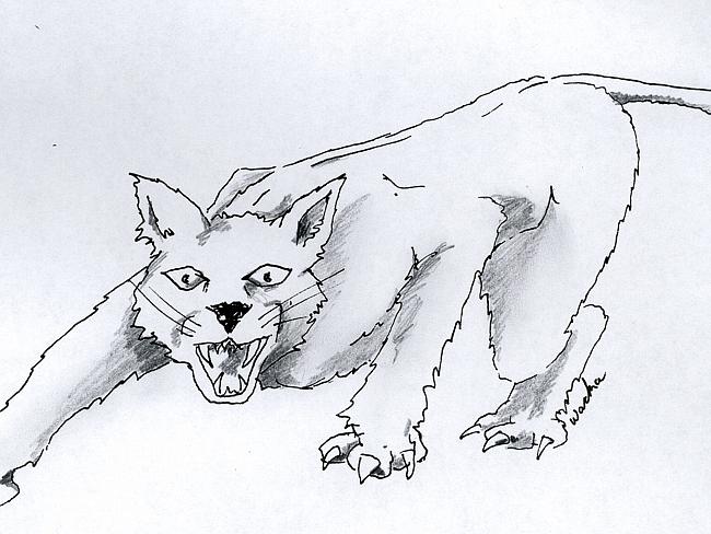 Elusive ... Artists’s impression of Lithgow panther. Picture: Supplied
