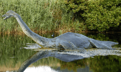 New images from space appear to show Loch Ness monster is 'alive ...