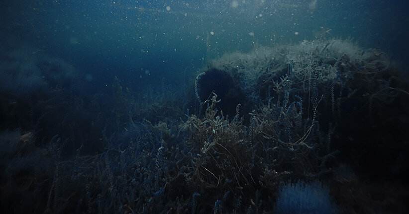 An underwater portal ten kilometers from Malibu: have not the aliens inherited here?  © Depositphotos.com / xload