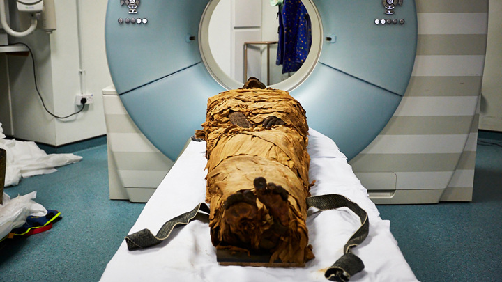 Talking mummies and time travel: The weirdest scientific discoveries of 2020 3