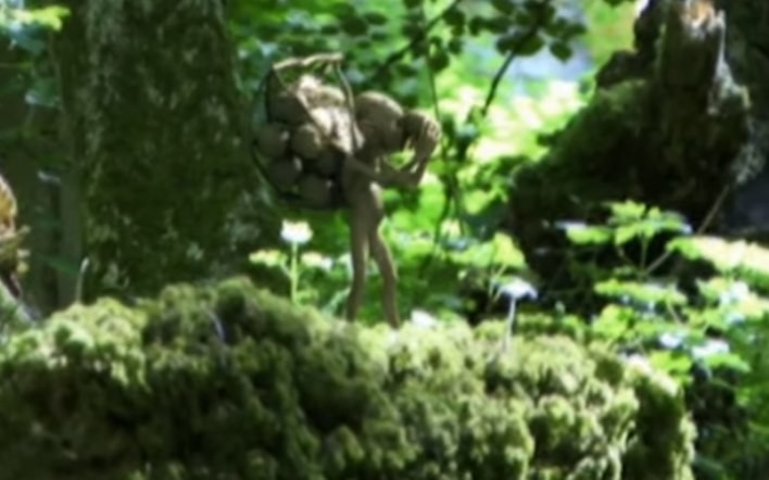 Fairy Hunter captures tiny green men in the forest - Paranormal News
