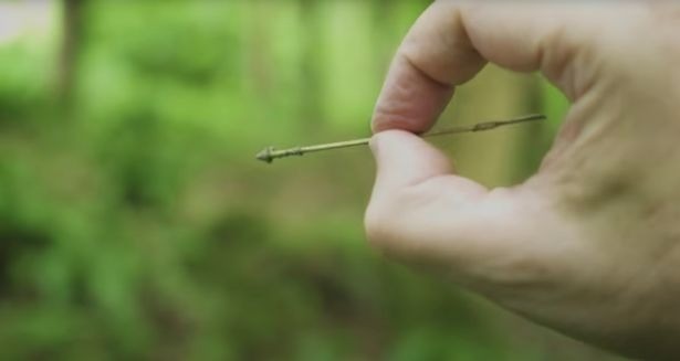 Fairy Hunter captures tiny green men in the forest - Paranormal News