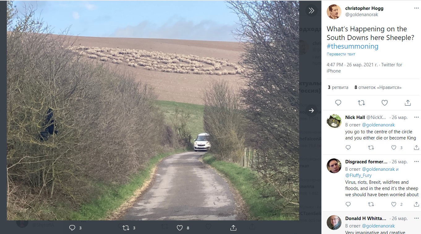 No crop circles and UFO tracks? Hundreds of sheep for no apparent reason walked in circles in a British field 3