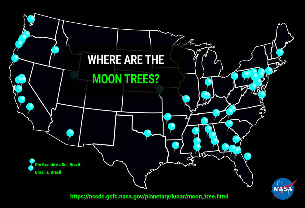 Scientists are looking for "moon trees" grown from seeds that have been on board the "Apollo 14" 2