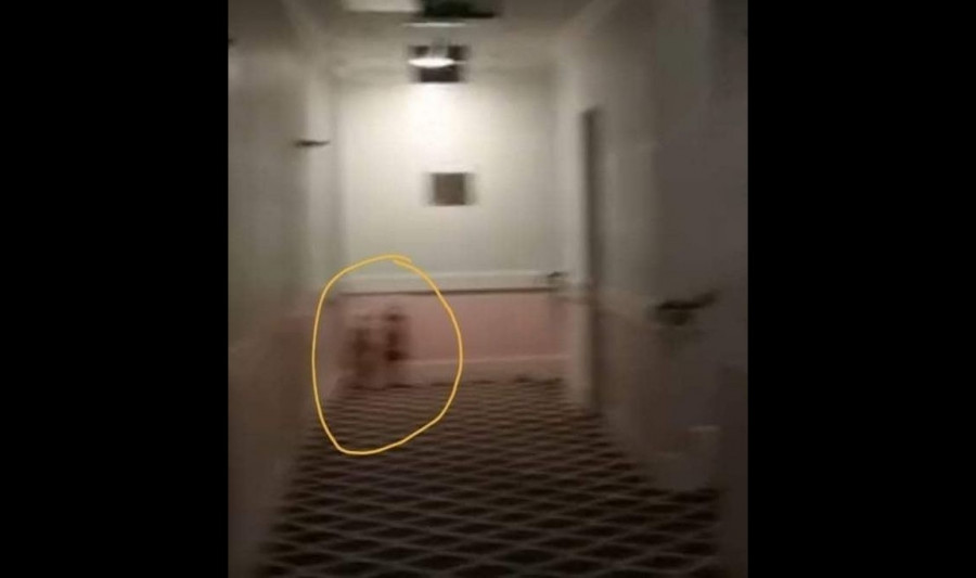 ForPost - News: Ghostbusters have found "twins from" Shining "in the hotel 