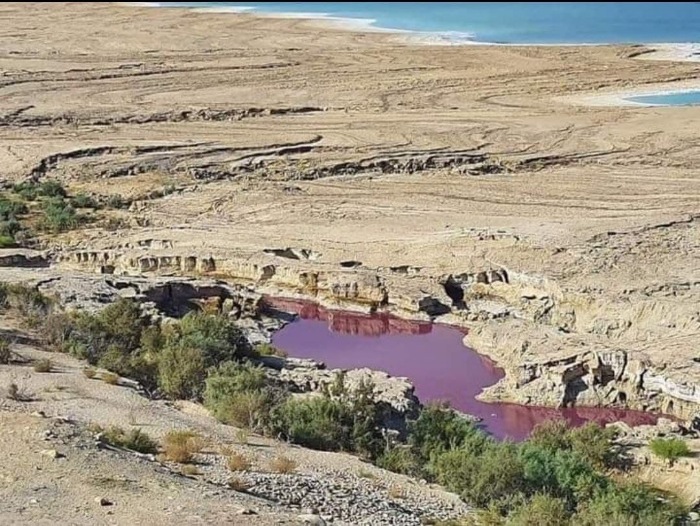 Lake water “Mysteriously” turned red near the Dead Sea in Jordan 2